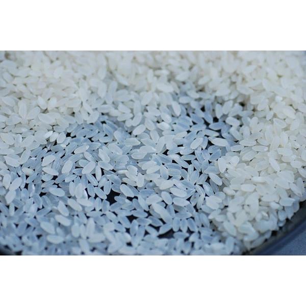 プレミアム カルローズ 25kg(10kg×2 5kg×1) カリフォルニア プレミアム カルローズ 25kg(10kg×2 5kg×1) カリフォルニア
