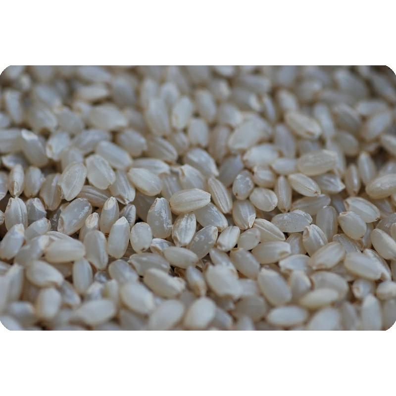 新品?正規品令和4年産 残留農薬ゼロ 山形高畠町産 1等 5kg 精米無料 ミルキークイーン 玄米 米、ごはん 令和4年産 長野県東御産 コシヒカリ 玄米 20kg 残留農薬ゼロ 精米&分搗き指定無料