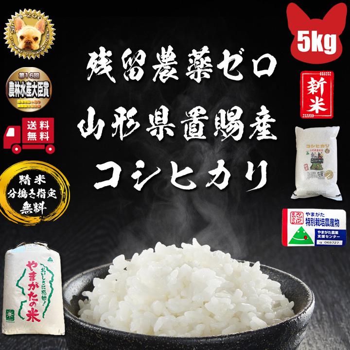 コシヒカリ 精米 5kg 山形県産　減農薬 コシヒカリ 令和7年産 山形県東置賜産 玄米 5kg 1等 残留農薬ゼロ 精米