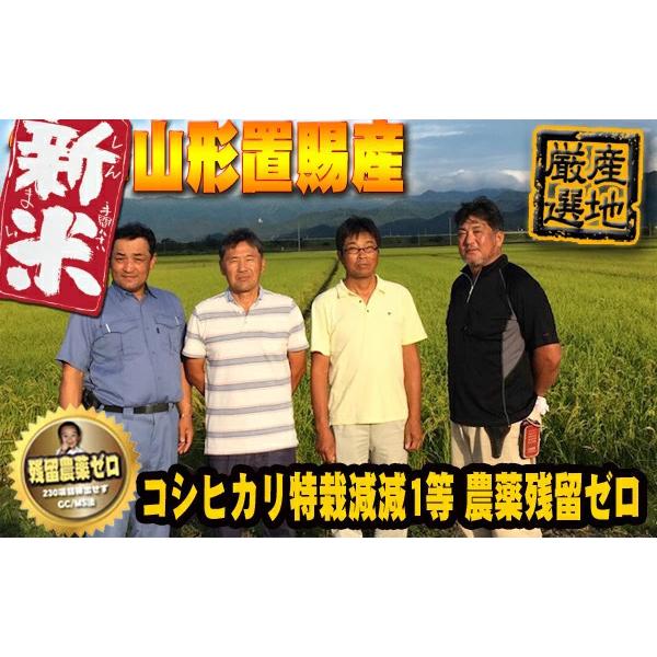 令和5年産 山形県東置賜産 コシヒカリ 玄米 20kg (10kg×2) 1等 残留