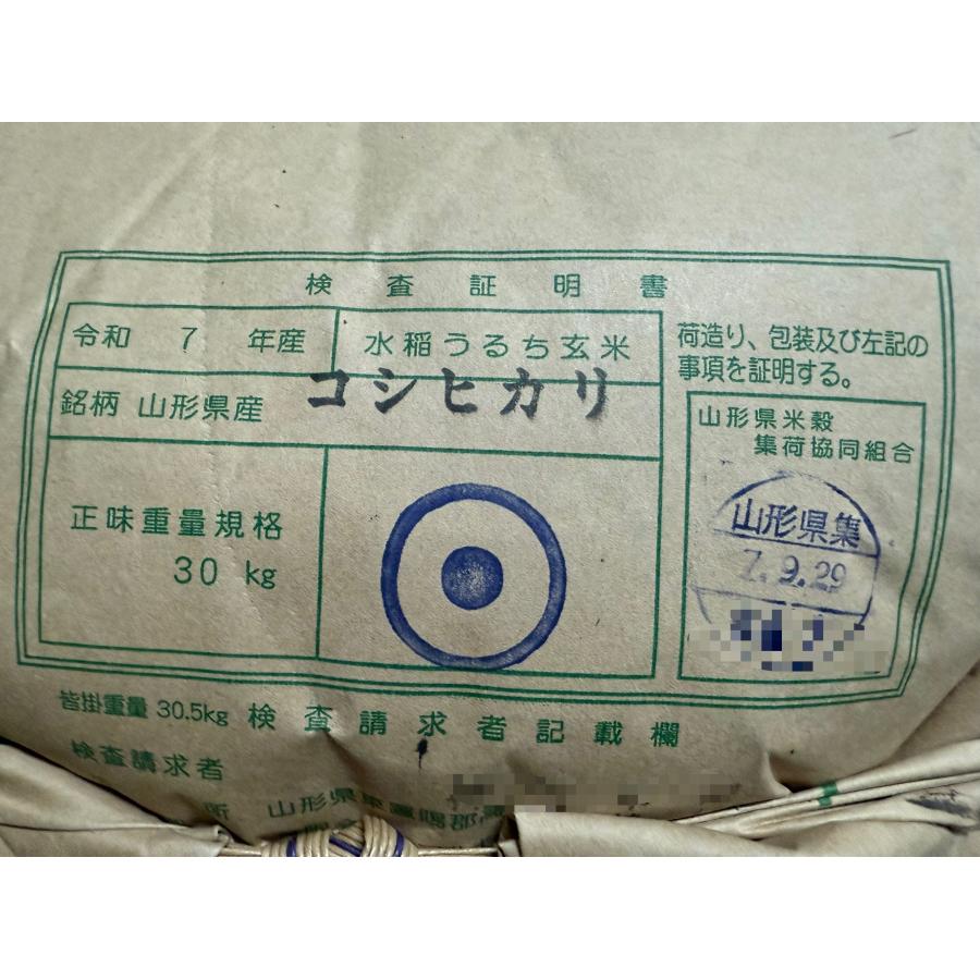 コシヒカリ 令和7年産 山形県東置賜産 玄米 25kg 1等 残留農薬ゼロ 