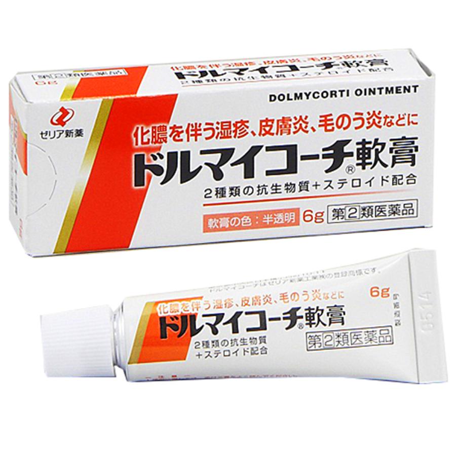 【第(2)類医薬品】 ドルマイコーチ軟膏 6g メール便送料無料｜benkyoannexx