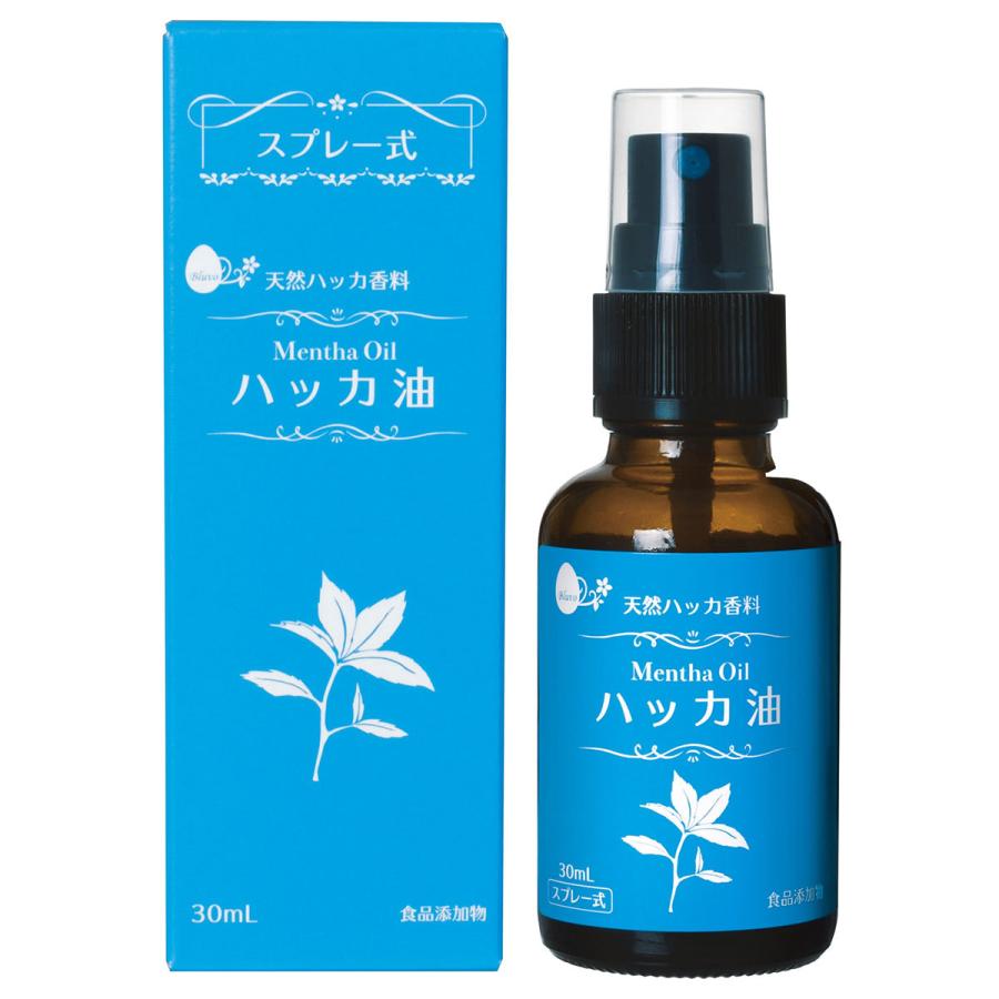 ハッカ油 スプレー式 30ml : くすりの勉強堂 アネックス - 通販 