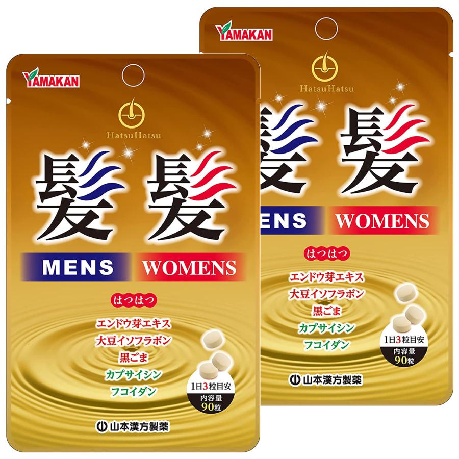 山本漢方製薬 山本漢方 髪髪粒 90粒×2個セット メール便送料無料