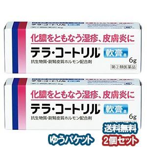 【第（2）類医薬品】 テラ・コートリル軟膏a 6g×2個セット メール便送料無料｜benkyoannexx