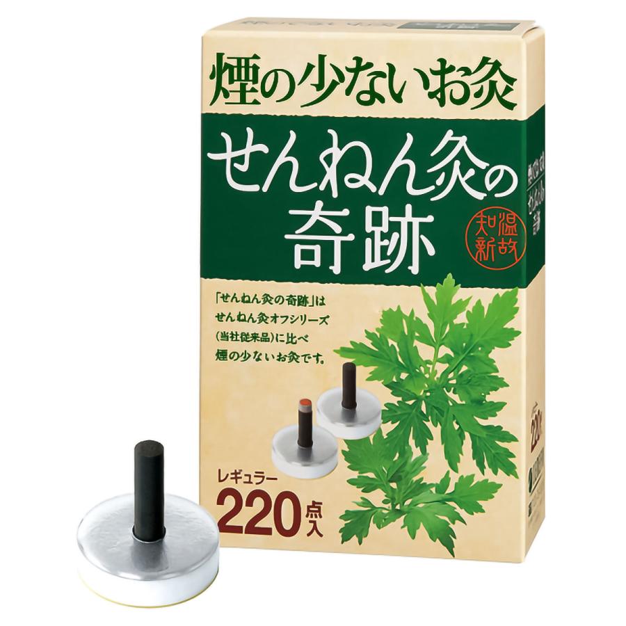 せんねん灸の奇跡 レギュラー 220点入 : くすりの勉強堂 アネックス