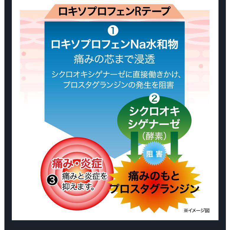 【第2類医薬品】ロキソプロフェンRテープ 7枚入 レギュラーサイズ メール便送料無料 / ロキソプロフェンnaテープ / ※セルフメディケーション税制対象商品｜benkyoannexx｜06