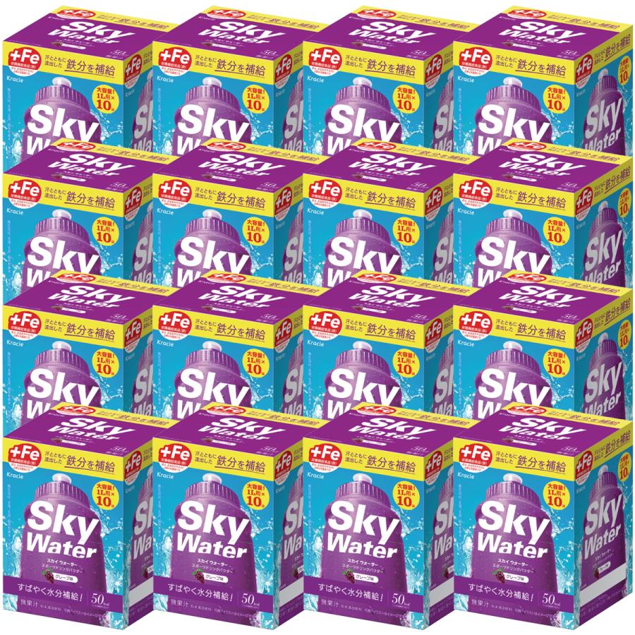 スカイウォーター クラシエ グレープ味 (1L用×2袋)×5個×16箱(1 スカイウォーター クラシエ グレープ味 (1L用×2袋)×5個×16箱(1