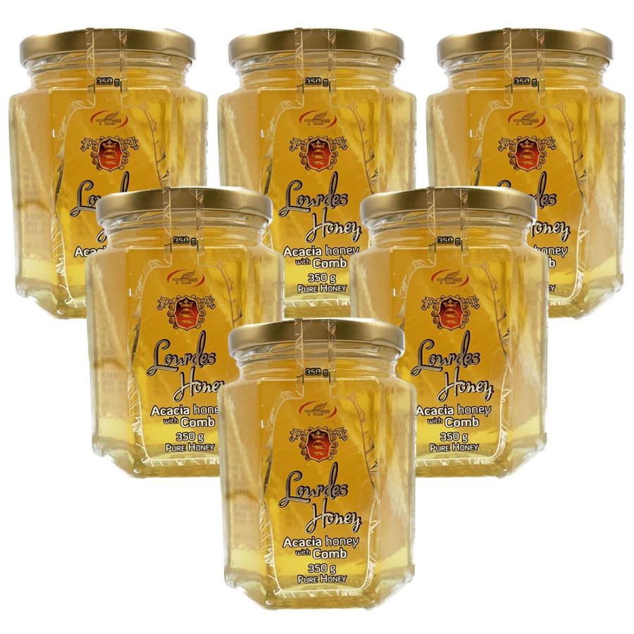 天長食品工業 ハンガリー産 巣はちみつ入り アカシア蜂蜜 350g×6個 