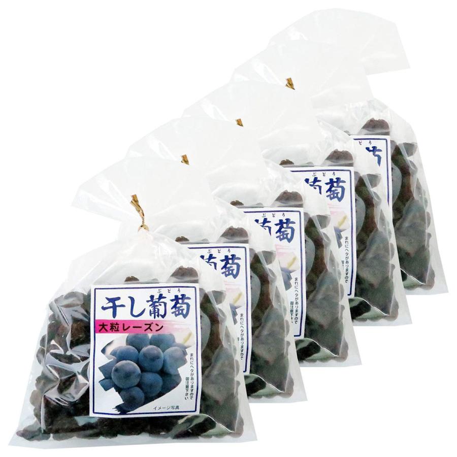 ナガトク 干し葡萄 大粒レーズン 370g×5個セット 送料無料