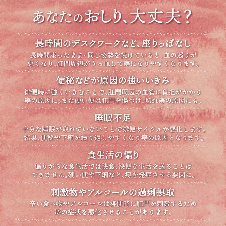 【第(2)類医薬品】エプールA注入軟膏EX 2g×10個入 3個セット 送料無料 あすつく対応 / 外用痔疾用薬 痔薬 痔 軟膏｜benkyoudou｜05