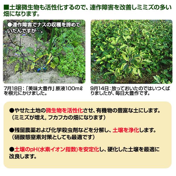 植物活力剤 美味大豊作GT-S 5リットル 肥料 野菜 園芸 果樹 土壌改良剤