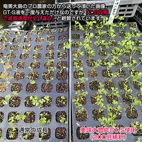 植物活力剤 美味大豊作GT-S 5リットル 肥料 野菜 園芸 果樹 土壌改良剤