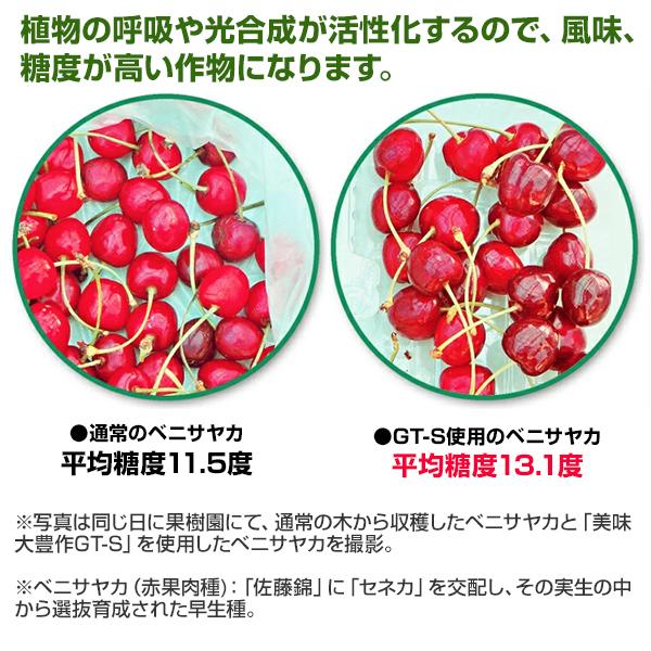 植物活力剤 美味大豊作GT-S 5リットル 肥料 野菜 園芸 果樹 土壌改良剤