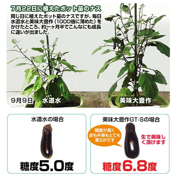 植物活力液 美味大豊作GT-S ２０リットル 作物が早く大きく育ち収穫量も増加！ 植物活力剤 美味大豊作GT-S 20リットル 肥料 野菜 園芸 果樹 土壌改良