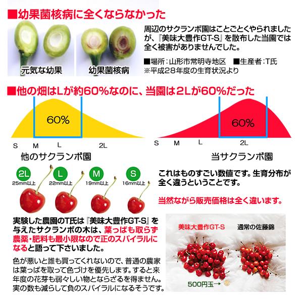 植物活力剤 美味大豊作GT-S 20リットル 肥料 野菜 園芸 果樹 土壌改良