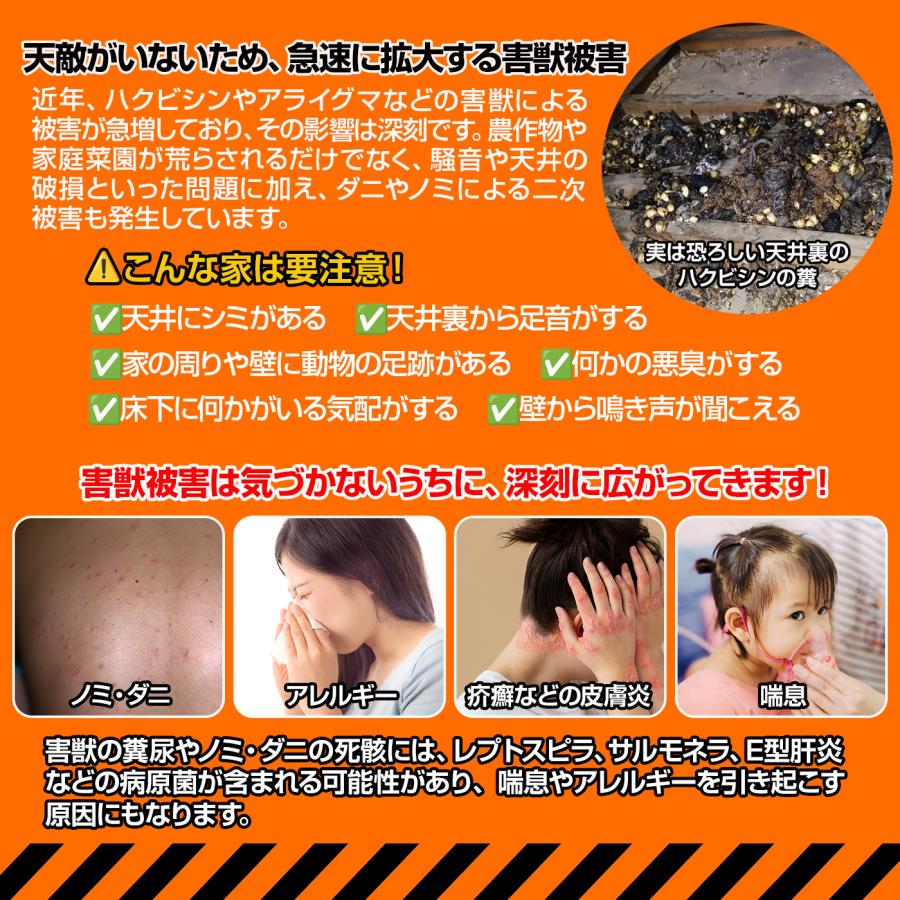 害獣忌避剤 ハクビシンパニック!天井裏・床下用の屋内タイプ10 害獣忌避剤 ハクビシンパニック!天井裏・床下用の屋内タイプ10