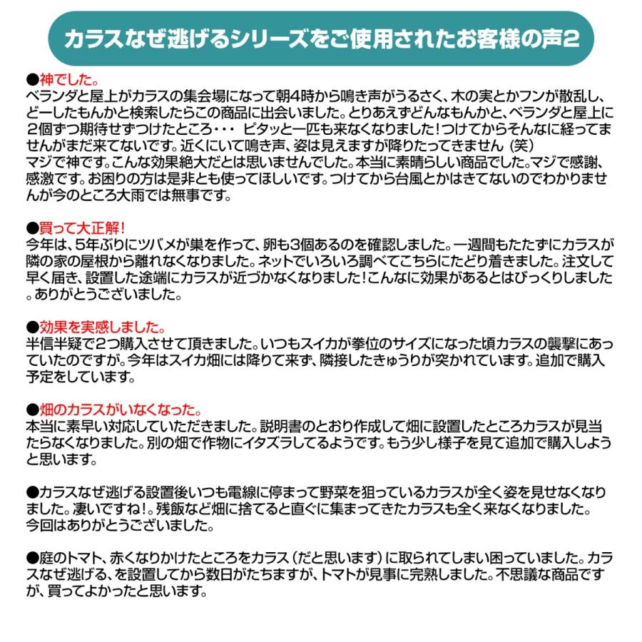 カラスよけ 対策 カラスなぜ逃げる？ くるりんキラキラタイプ 10個