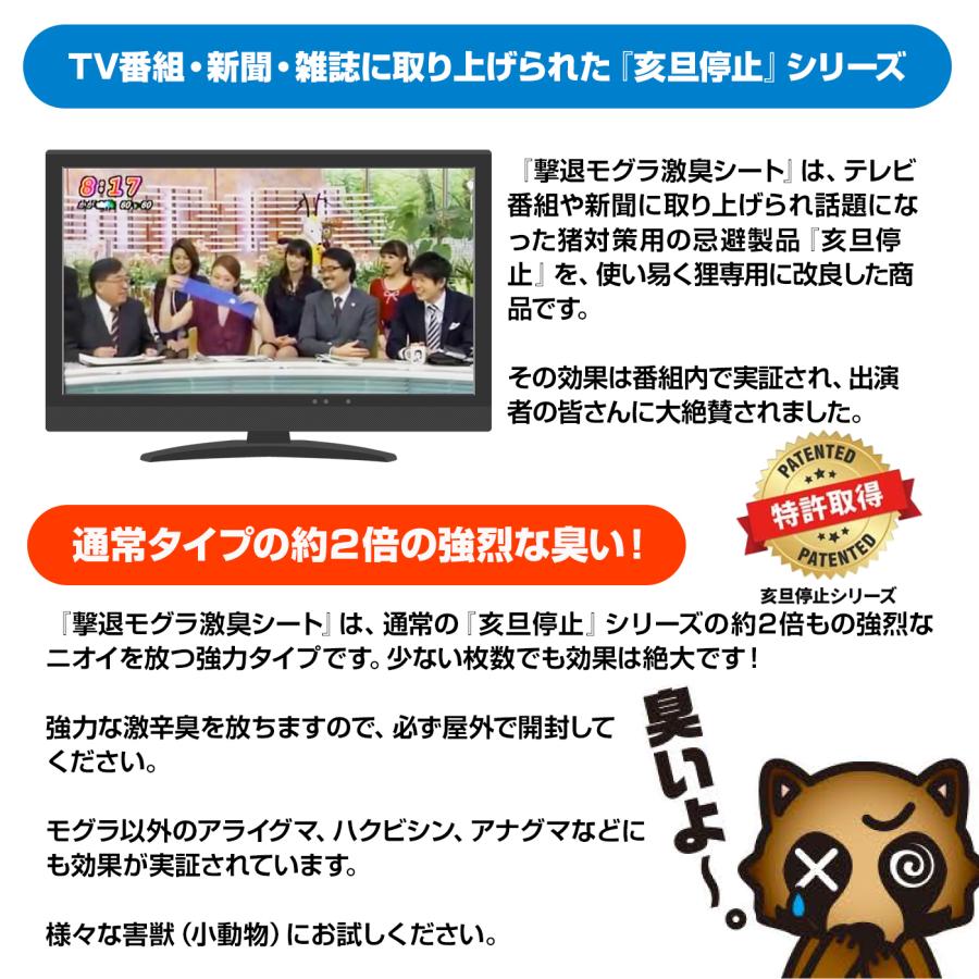 モグラ 撃退 忌避剤 撃退モグラ激臭シート 5個入 激辛臭が約２倍の強力タイプ 効果は約１年間！モグラ対策 モグラ退治 モグラよけ モグラ忌避剤 ポイント利用 |  | 01