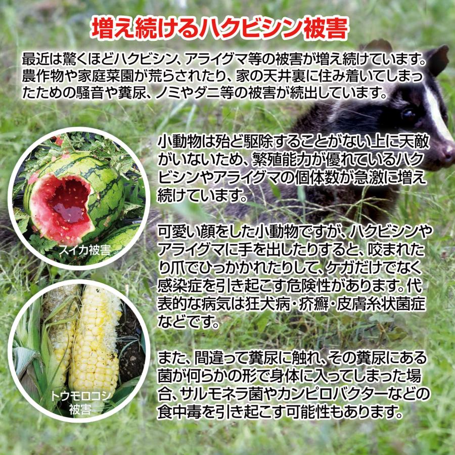ハクビシン忌避剤 駆除 撃退ハクビシン強力タイプ屋外用5個入 ハクビシン忌避剤 駆除 撃退ハクビシン強力タイプ屋外用5個入