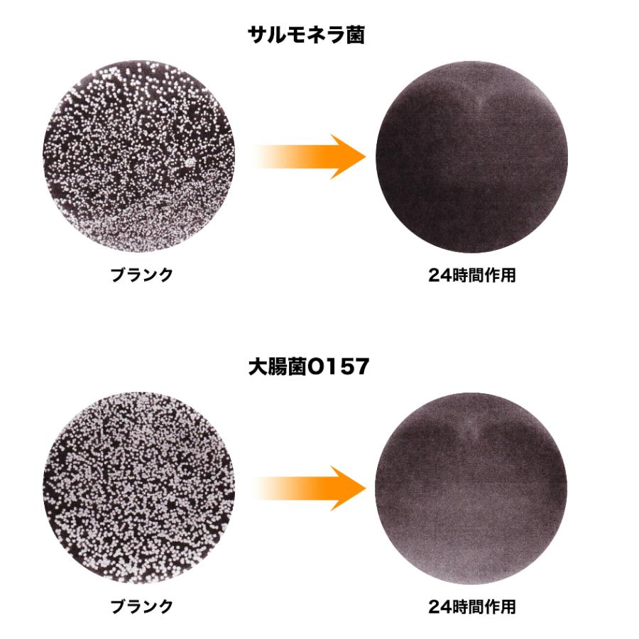 除菌 防虫 防カビ ヒバ抽出 ヒノキチオールストロング 10L 防