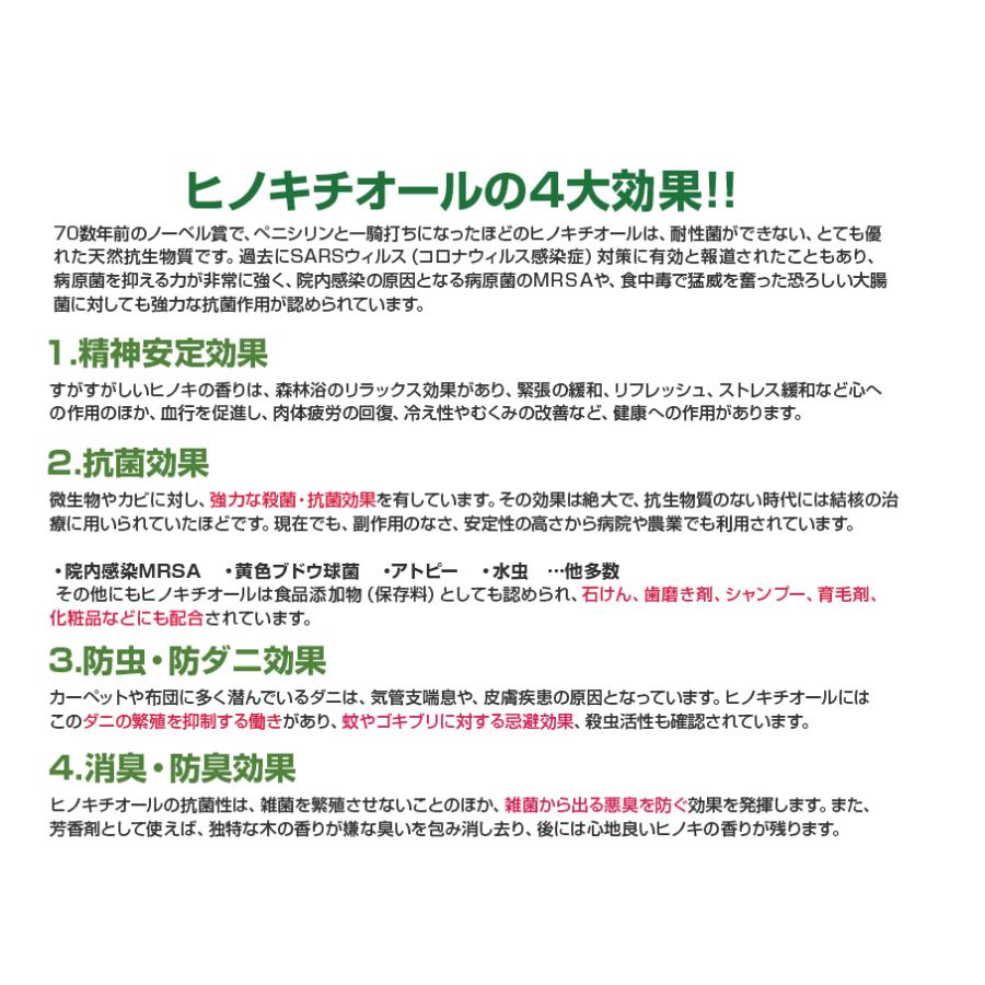除菌 防虫 防カビ ヒバ抽出 ヒノキチオールストロング 20L 防ダニ