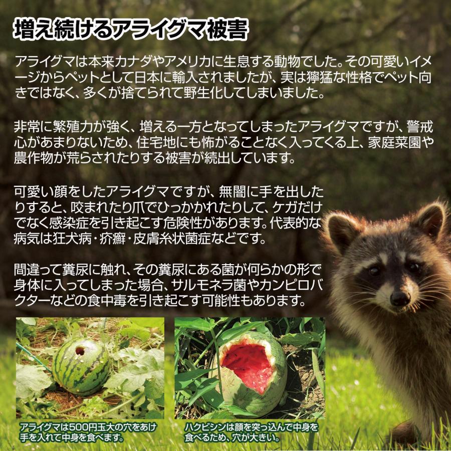 アライグマ 忌避剤 駆除 屋根裏 撃退アライグマ強力タイプ屋内用5個入