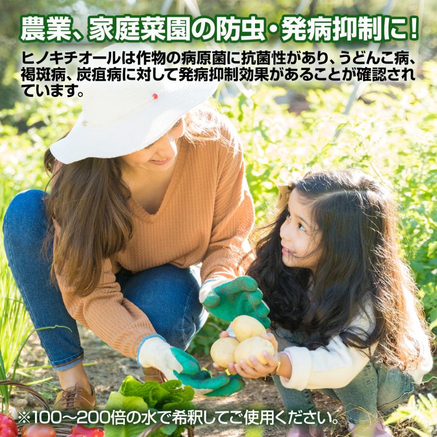 ヒバの恵みヒノキチオール500ml ひのき ヒノキ 檜 桧 ヒバ 抗菌 除菌