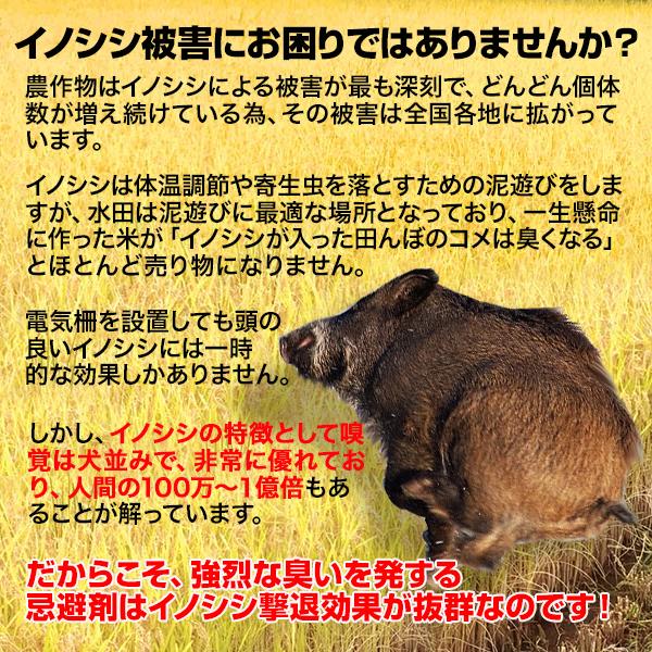 イノシシ対策 イノシシなぜ逃げるニュー改訂版 農業・業務用10枚セット