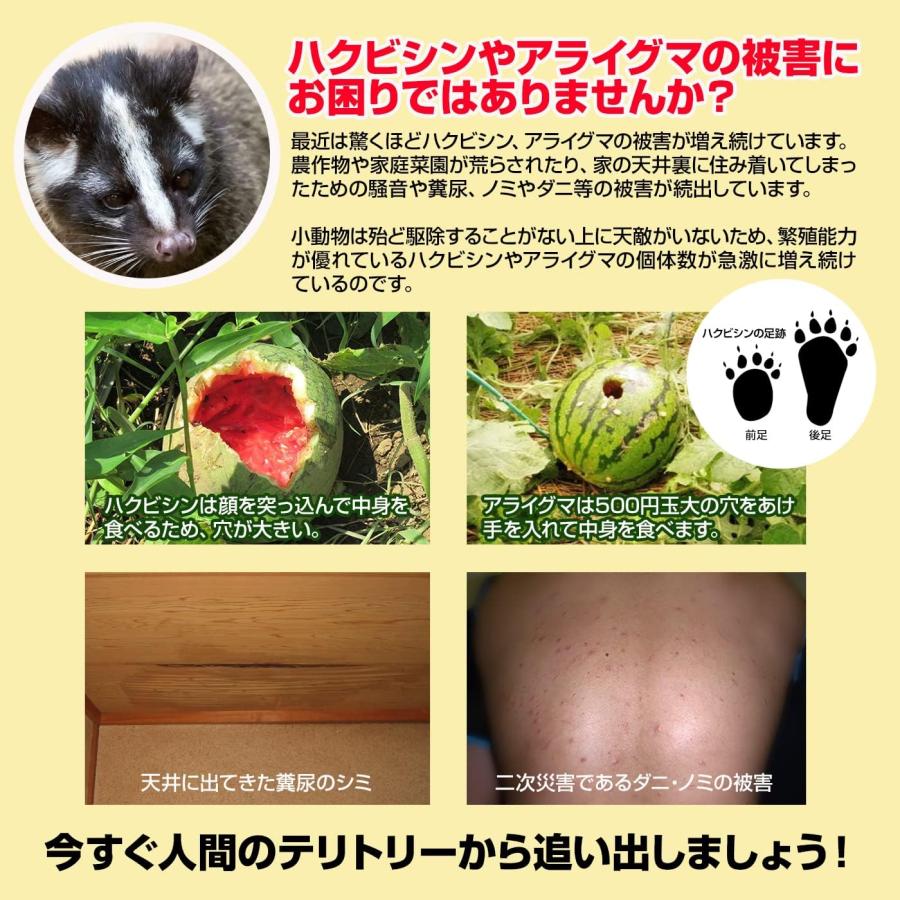 ハクビシンなぜ逃げるニュー改訂版 屋外用50枚セット 臭い効果UP 