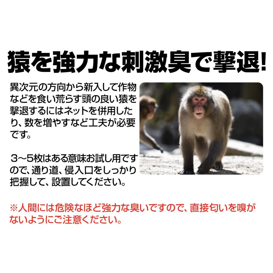 猿 撃退 忌避剤 撃退サル激臭シート 50個入 激辛臭が約2倍の強力 