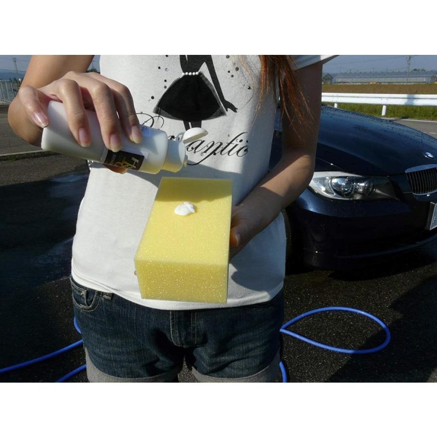 鏡面仕上げ用コンパウンド 濃色車などキズ消し後の仕上げ磨きに ミラーフィニッシュ 100g Htrc 3 オンラインショップ