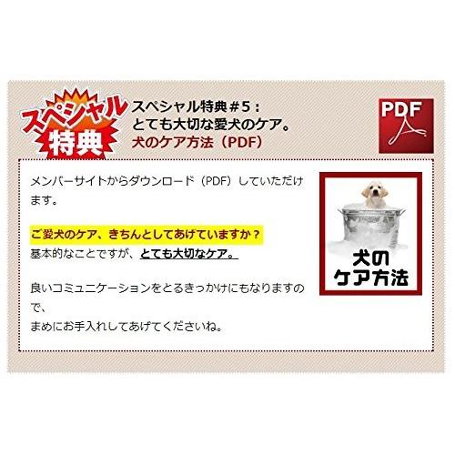 代引不可 ダメ犬脱出 藤井聡の犬のしつけ方法日本一のカリスマ訓練士 藤井聡 指導 正規品 Mesquita Rj Gov Br