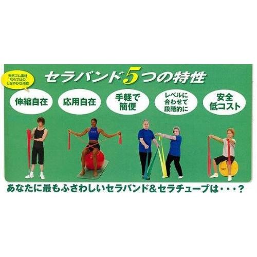 TB-150 セラバンド 50ヤード(45m) イエロー TB セラバンド 50ヤード 45m イエロー