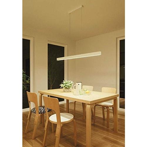 大光電機（DAIKO） LEDペンダント (LED内蔵) LED 20W DECO-LINE（L1200） 電球色 2700K DPN-38