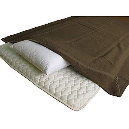 毛布 カシミヤ ”安心の、日本製” インテリア しなやかでなめらかな肌触り カシミヤ毛布 ナチュラルブラウン