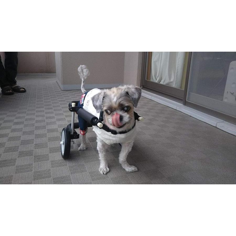 最適な材料 犬用車椅子 歩行器 小型犬用 2輪タイプ 後足用 室内 歩行補助 Mダックス Tプードル 012 Tdaオンラインショップ 通販 Yahoo ショッピング 50 Off Azerbaijanfoundation Az