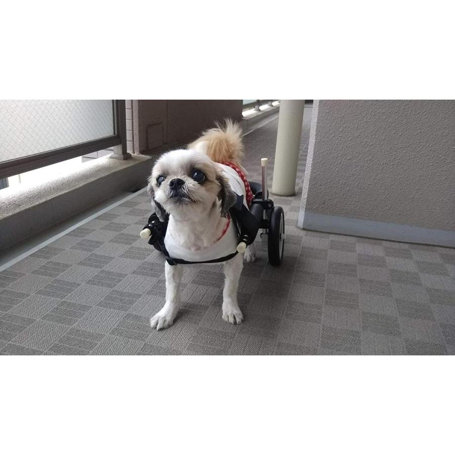 即発送可能 犬用車椅子 歩行器 小型犬用 2輪タイプ 後足用 室内 歩行補助 Mダックス Tプードル 激安ブランド Zoetalentsolutions Com