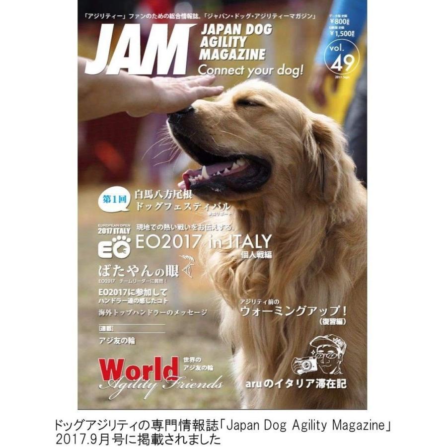 史上最も激安 ドッグアジリティ スラローム 障害物 自立 組立式 どこでも設置 軽量 2 7kg 持運びキャリーバッグ付きペット 犬用品 運動器具 競技 超人気の Www Muslimaidusa Org