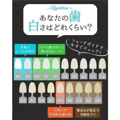 ミカホワイト MIKA WHITE 30g ホワイトニング 輝く美白歯 歯磨き