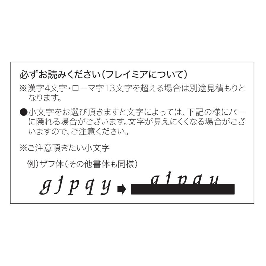 戸建 表札 切り文字 ステンレス Framia フレイミア KR1 漢字:なごみ体