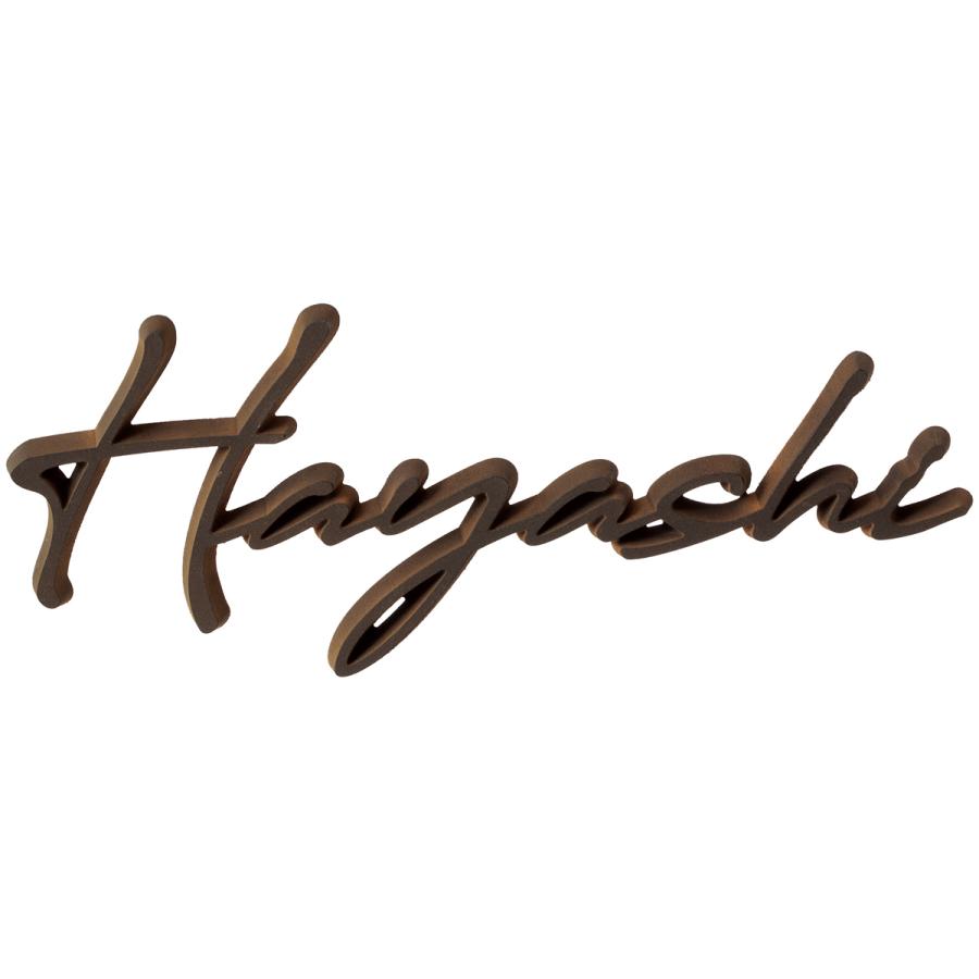 戸建 表札 切り文字 耐候性向上特殊樹脂 Ricamo リカーモ NRIS 文字