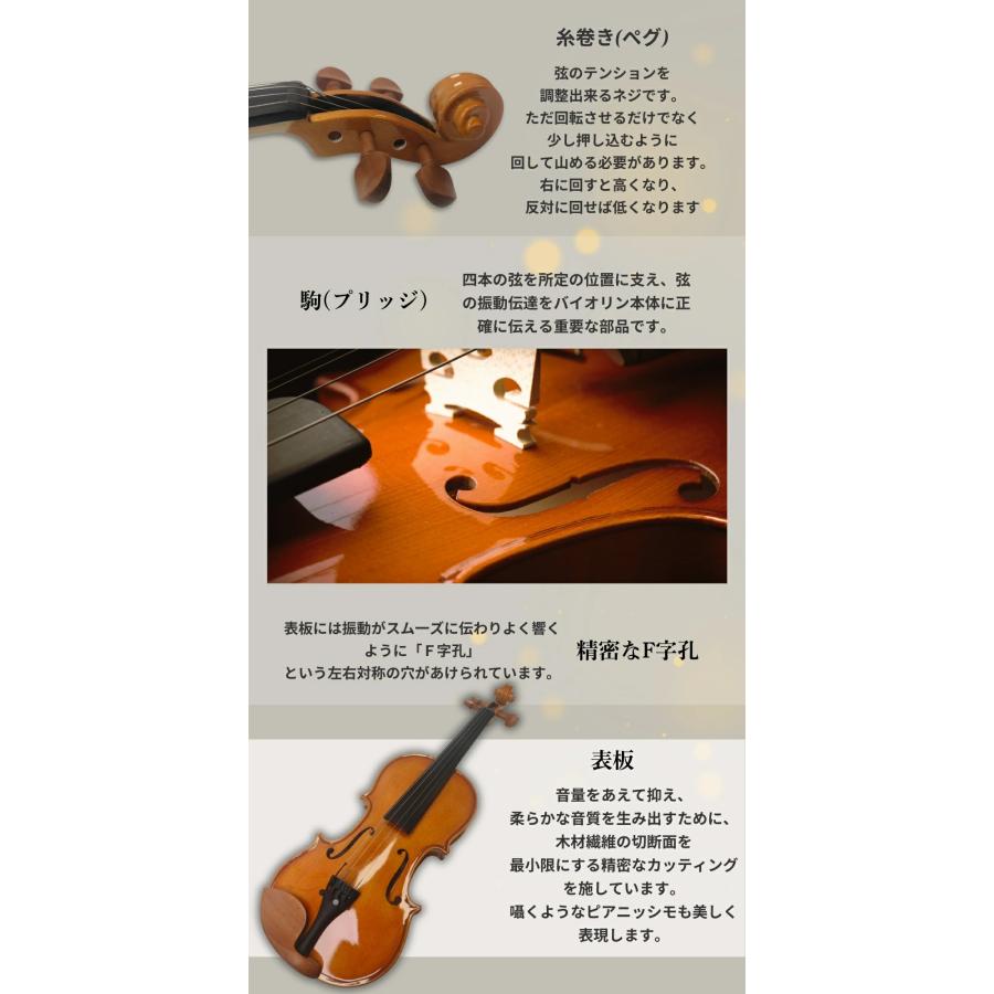 バイオリン 初心者セット10点セット 子供用 ヴァイオリン 入門者 入門