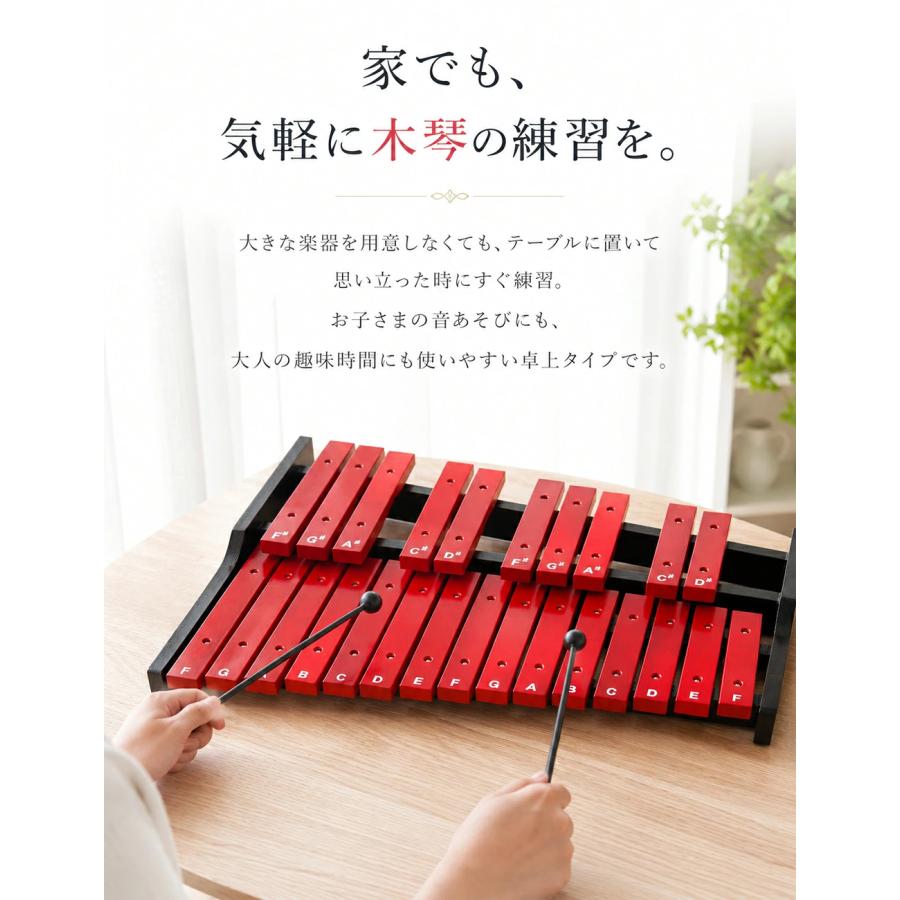 木琴 25音 卓上木琴 天然木 木製 シロフォン 収納ケース付き お手入れ