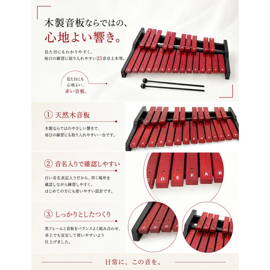 木琴 25音 卓上木琴 天然木 木製 シロフォン 収納ケース付き お手入れ