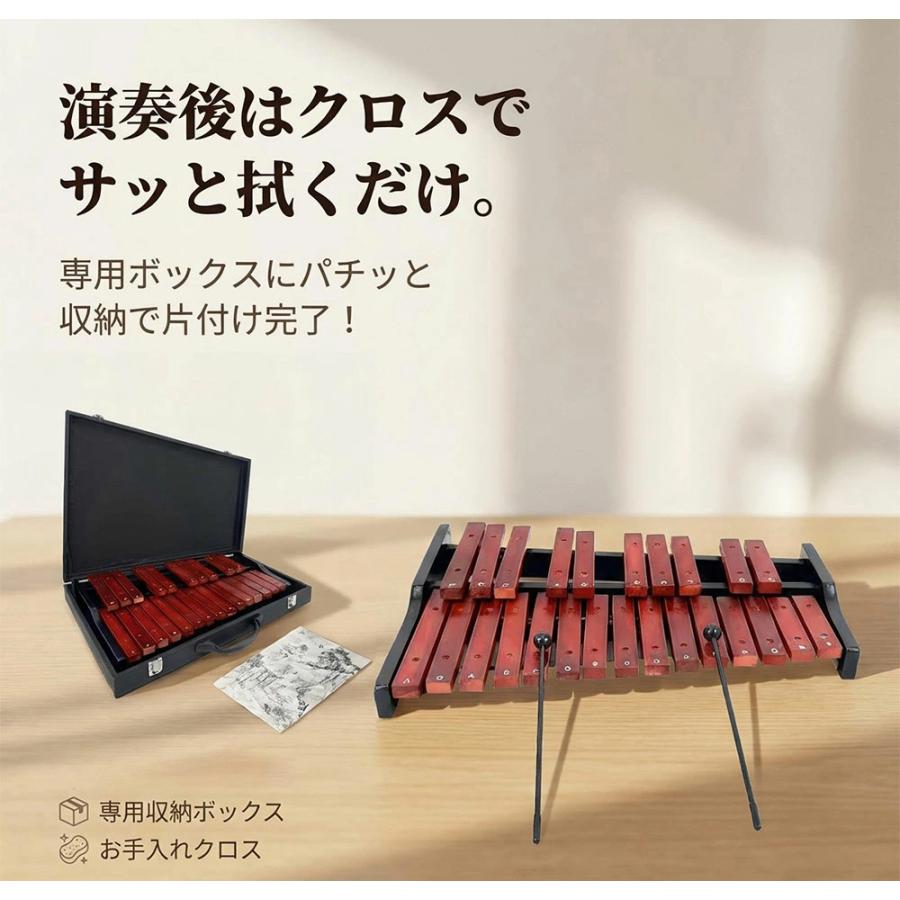 木琴 25音 卓上木琴 天然木 木製 シロフォン 収納ケース付き お手入れ