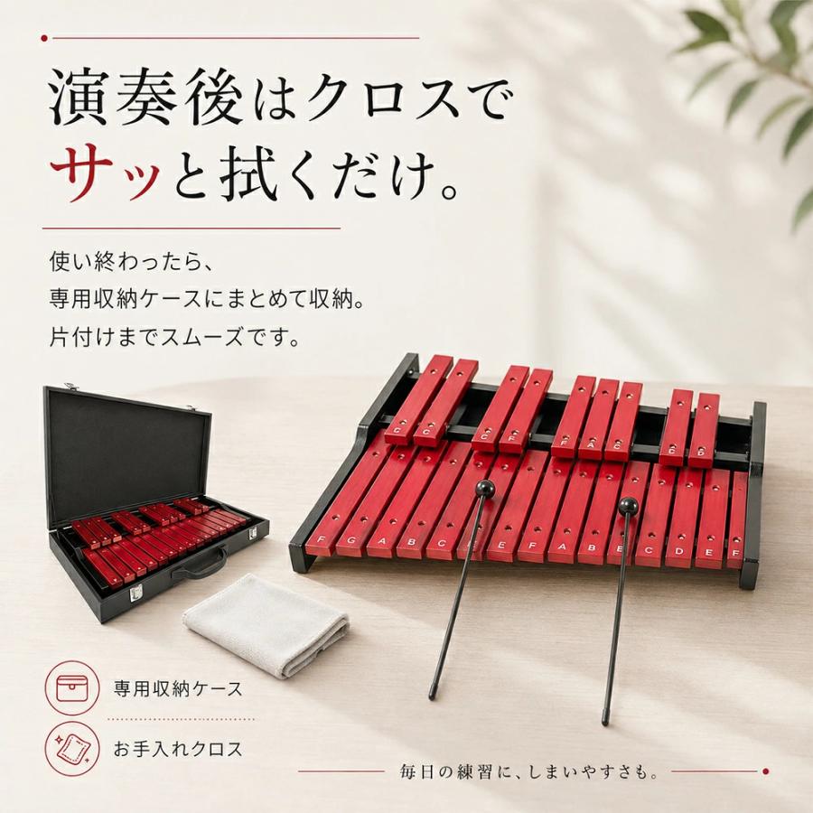 木琴 25音 卓上木琴 天然木 木製 シロフォン 収納ケース付き お手入れ