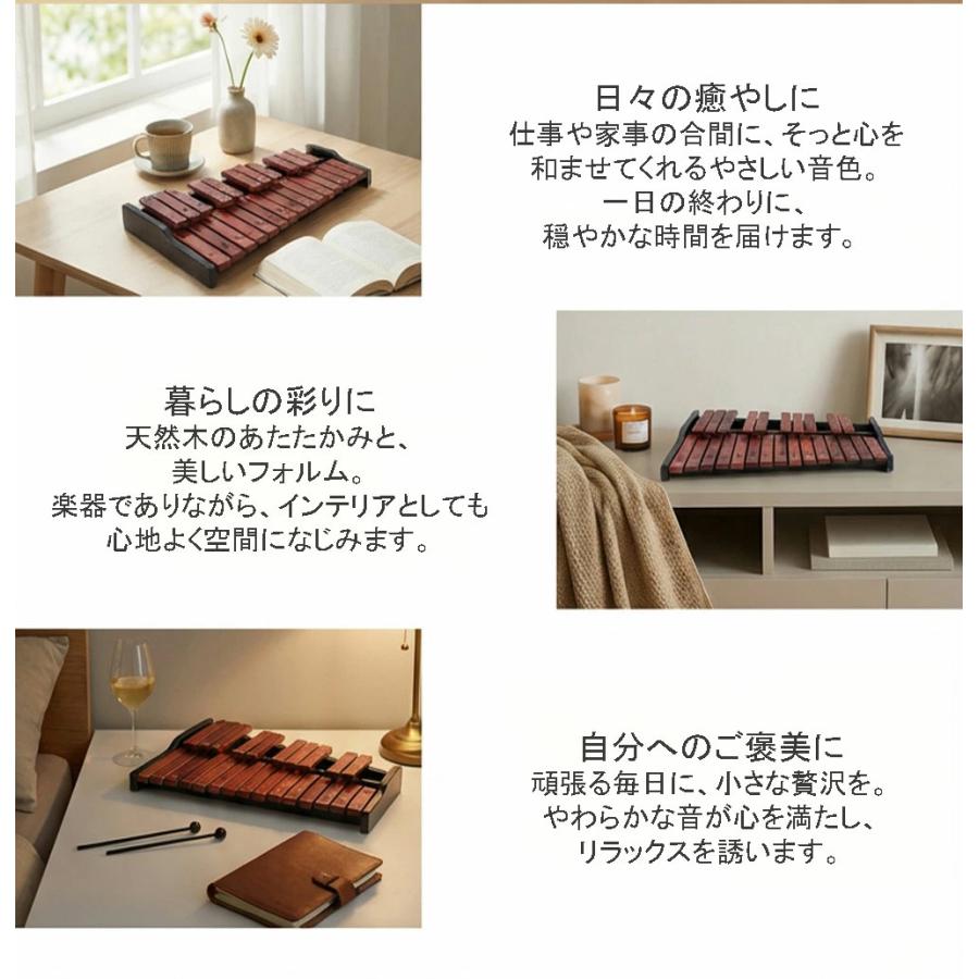 木琴 25音 卓上木琴 天然木 木製 シロフォン 収納ケース付き お手入れ