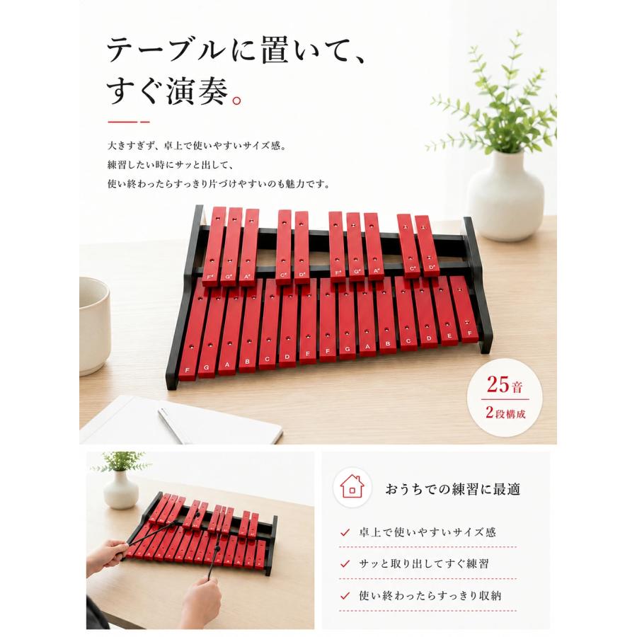 木琴 25音 卓上木琴 天然木 木製 シロフォン 収納ケース付き お手入れ