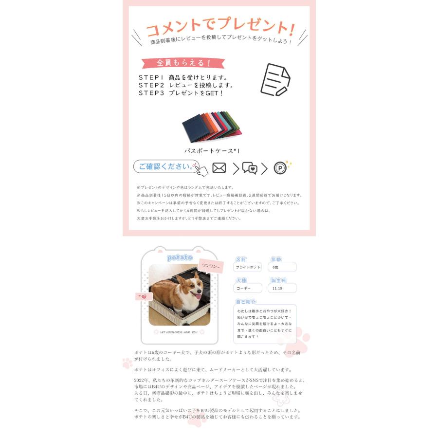 ☆在庫処分☆】B4U スーツケース フロントオープン S/Mサイズ 機内 